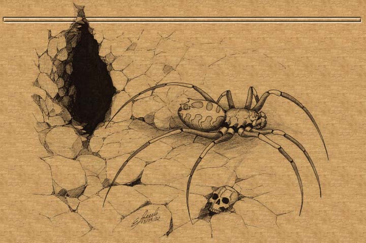 The arochar leaving its nest to hunt