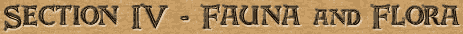 Section 4 - Fauna and Flora