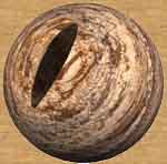 Cat's Eye